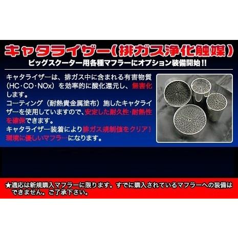 WirusWin ウイルズウィン ロイヤルマフラー スポーツタイプ キャタライザー：あり / カラー：ノーマル ディオ110 HONDA ホンダ フルエキゾーストマフラーの画像