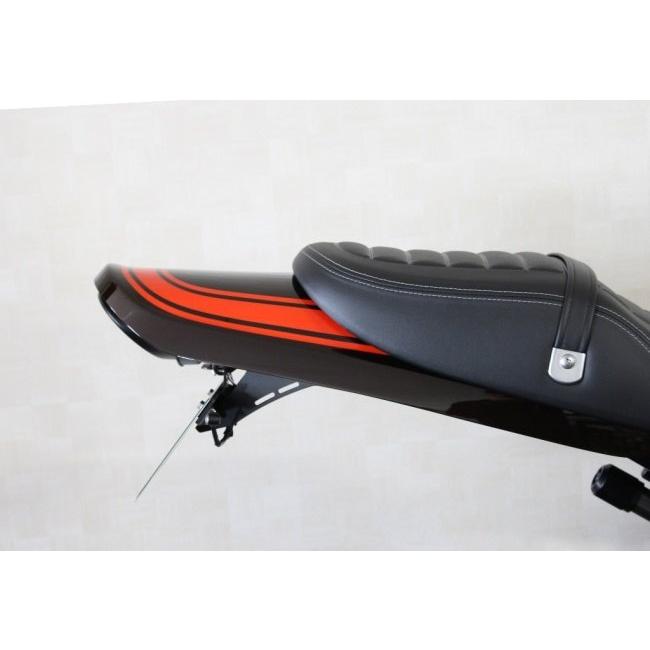 American Dream（アメリカンドリーム） テールランプ延長キット Z900RS