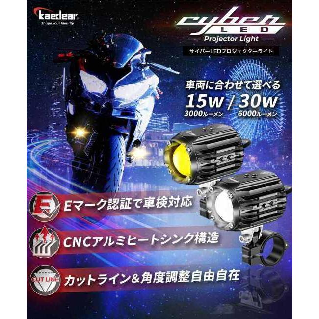 Kaedear（カエディア） KDR-K10-W30 Cyber LED プロジェクター ライト