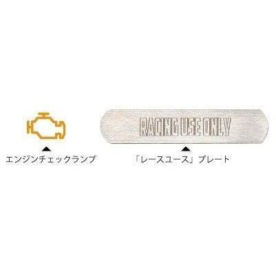 AKRAPOVIC（アクラポビッチ） レーシングライン フルエキゾースト YZF