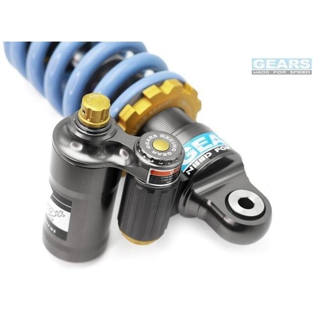 GEARS RACING ギアーズレーシング H2P リアサスペンション RS 660