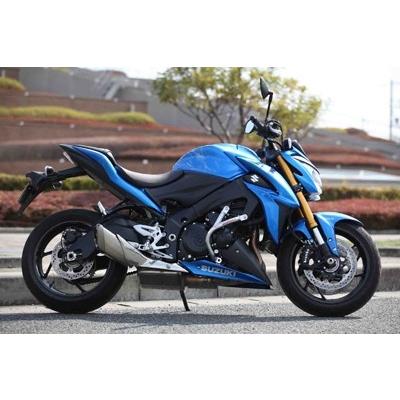 GOLDMEDAL ゴールドメダル スラッシュガード カラー：ブラック GSX-S1000 SUZUKI スズキ エンジンガード フレーム
