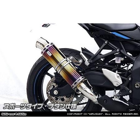 WirusWin（ウイルズウィン） スリップオンマフラー スポーツタイプ