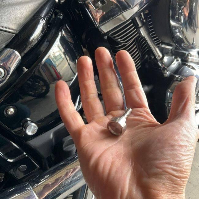 レザーディスク8枚 TERADA MOTORS テラダモータース サイドカバースクリュー カラー