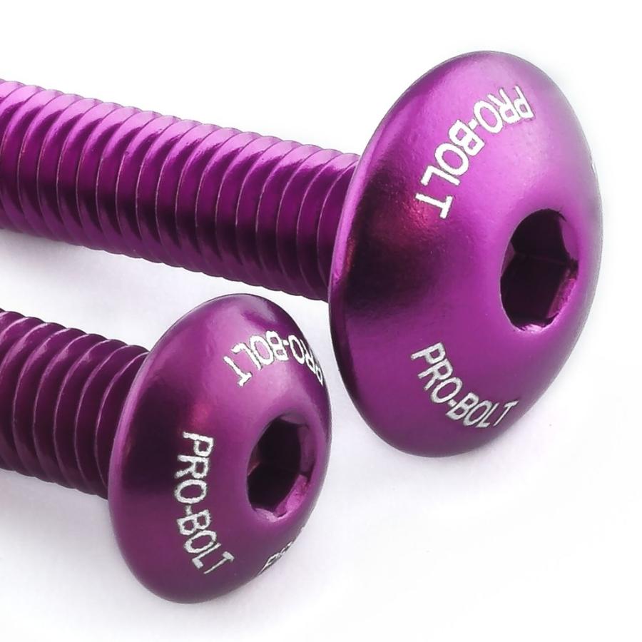 PRO BOLT プロボルト スクリーンボルト キット カラー：パープル GTR1000 ZX-10R ZXR750 KAWASAKI カワサキ 外装 | ブランド登録なし