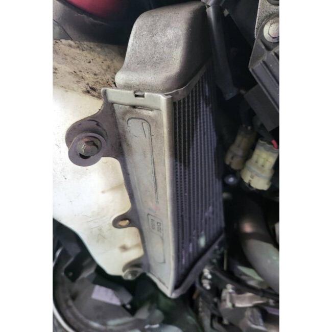 SKUNY スクーニー 冷却器差し固める CRF300L HONDA ホンダ ラジエーターコアガード・オイルクーラーコアガード 冷やかすかかわり合い 発動機