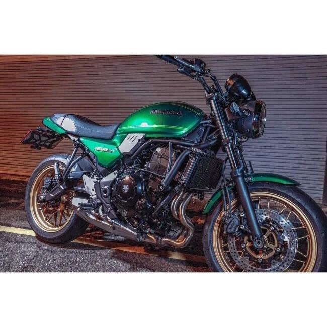 SKUNY スクーニー ラジエーターガードセット カラー：シルバー Z650RS