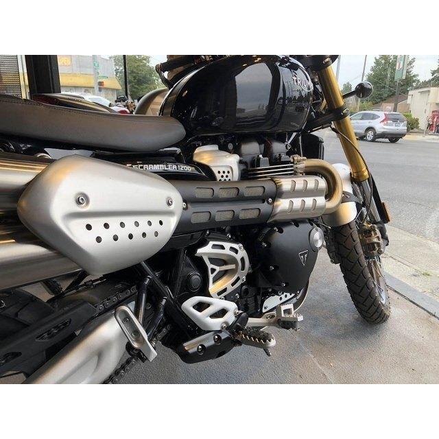 AltRider アルトライダー DualControl Brake System for Triumph Tiger 900 Rally / Pro - Silver | TT99-1-2532 その他ステップオプション・補修部品 ステップ_6