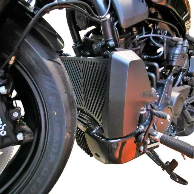 ACCESS DESIGN アクセスデザイン Radiator Guard ラジエーターコアガード・オイルクーラーコアガード 冷却関連 エンジン_2