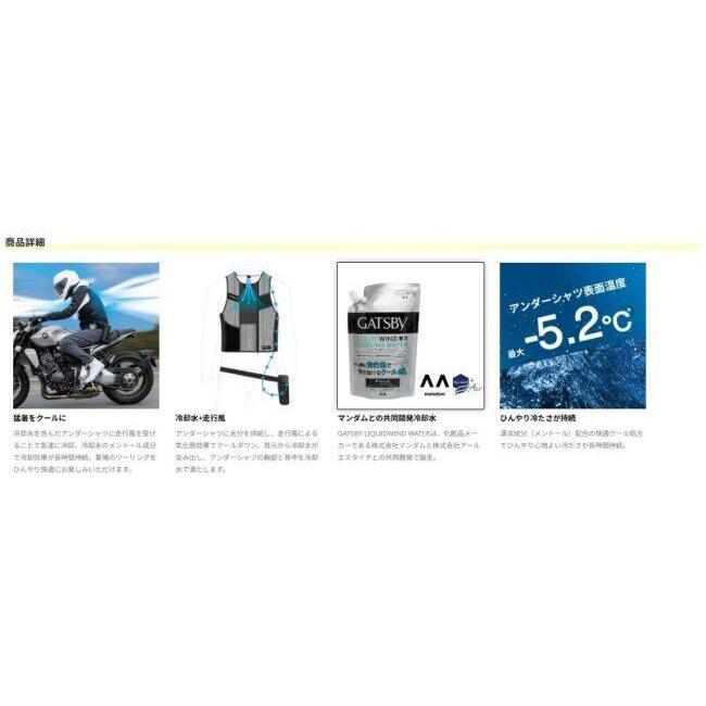 RS TAICHI アールエスタイチ RSP516 ギャツビー リキッドウインド