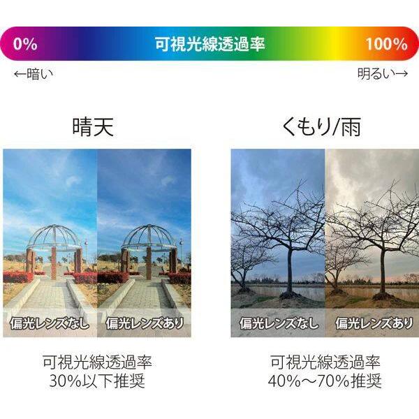 DANG SHADES ダン・シェイディーズ ATZ べっ甲柄 x グリーングレー 偏光レンズ [vidg00450] サングラス アパレル | DANG SHADES | 05