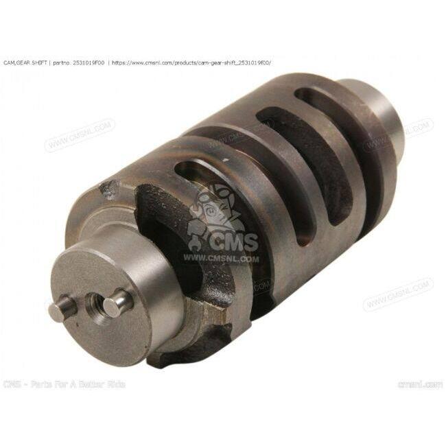 CMS シーエムエス CAM，GEAR SHIFT［2531019F00］ Vストローム650 SV650 (1999) SV650S SUZUKI スズキ_1