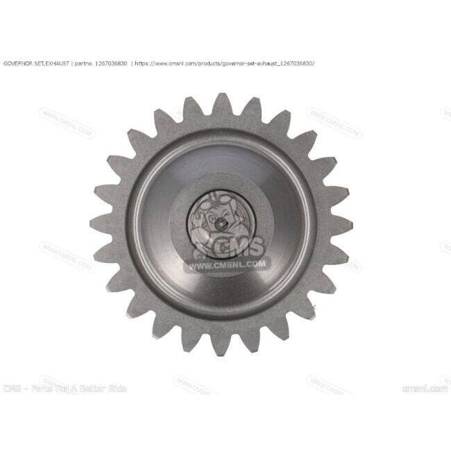 CMS シーエムエス GOVERNOR SET，EXHAUST［1267036830］ RM125 SUZUKI スズキ_2