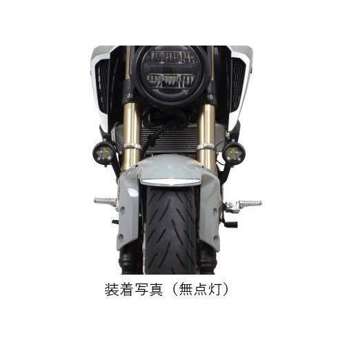 SP武川 SPタケガワ LEDフォグランプキット(カットライン/10W)(2個入