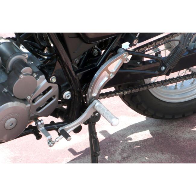 COERCE（コワース） フィクスドレーシングステップ CB223S FTR223