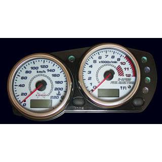 Odax（オダックス） ELメーターパネル ZRX1200ダエグ KAWASAKI