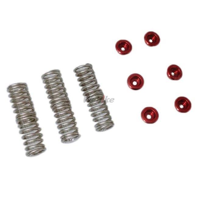 AELLA アエラ クラッチスプリングキット カラー：レッド DUCATI ドゥカティ クラッチスプリング 駆動系 | AELLA | 01