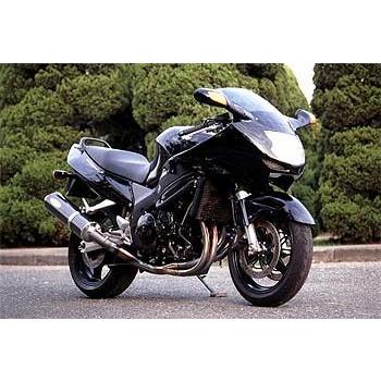 CBR1100XXスーパーブラックバード用 techserfu製 フルエキ techserfu テックサーフ オールチタンタイプ2 マフラー マフラー
