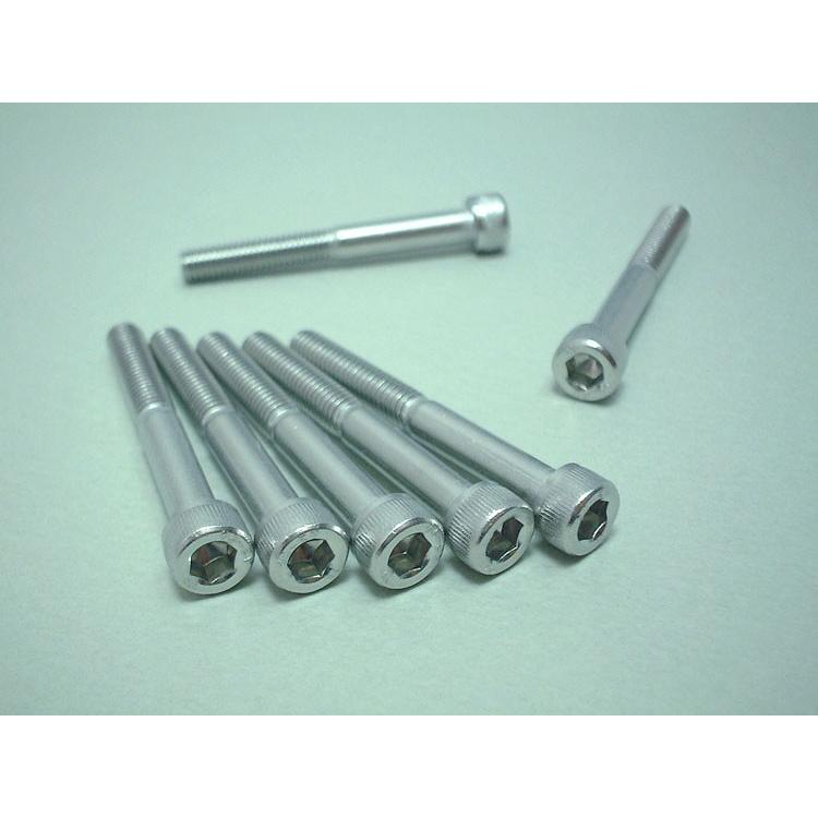 AMC アジアンモータース エンジンカバー用ステンレスボルトセット GPZ900R KAWASAKI カワサキ クランクケースボルト エンジンパーツ エンジン | AMC