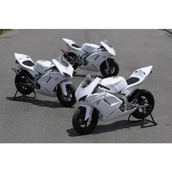 3月末に終了 ニンジャ250r 才谷屋 タイプ1098 カウルセット