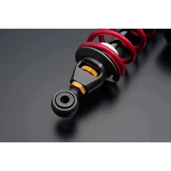 ADVANTAGE アドバンテージ SHOWA RS-γリアサスペンション (油圧