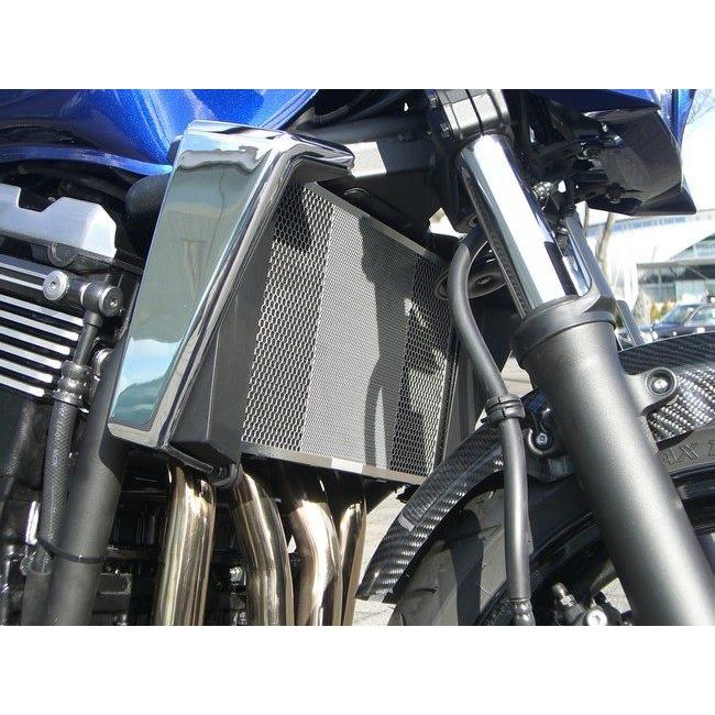 A-TECH（エーテック） ラジエーターコアガード タイプR ZRX1200ダエグ