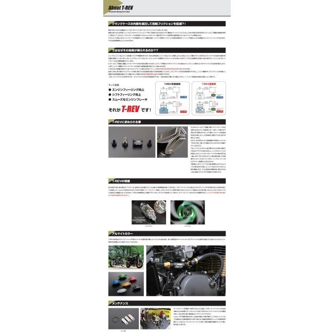 T-REV(寺本自動車商会) T-REV(寺本自動車商会):ティーレブ T-REV Φ22 0.05 カラー：レッド REV 寺本自動車商会