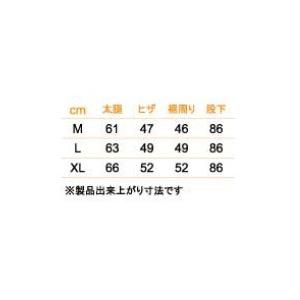 DEGNER（デグナー） レザーチャップス サイズ：L チャップス パンツ