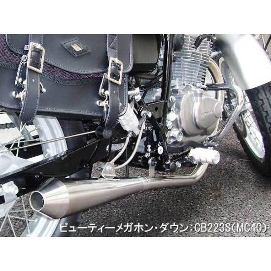 RSヨコタ レーシングショップヨコタ RSYビューティーメガホンダウン 