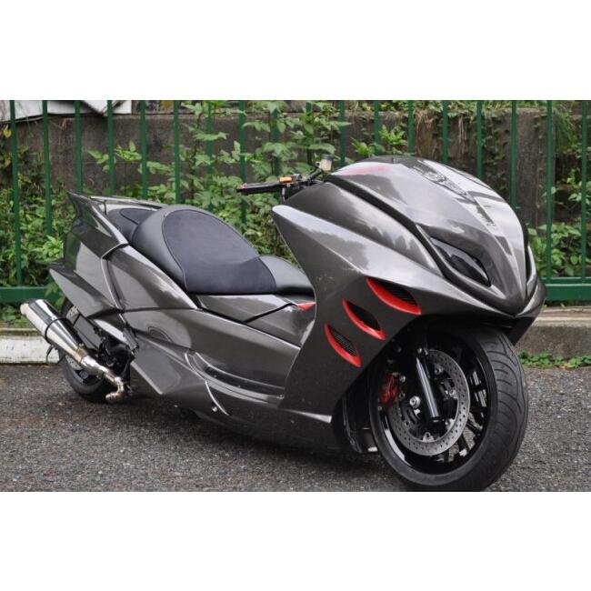 LOTAUS ロータス VOGUE 4D9マジェスティ用 リアアンダースパッツ