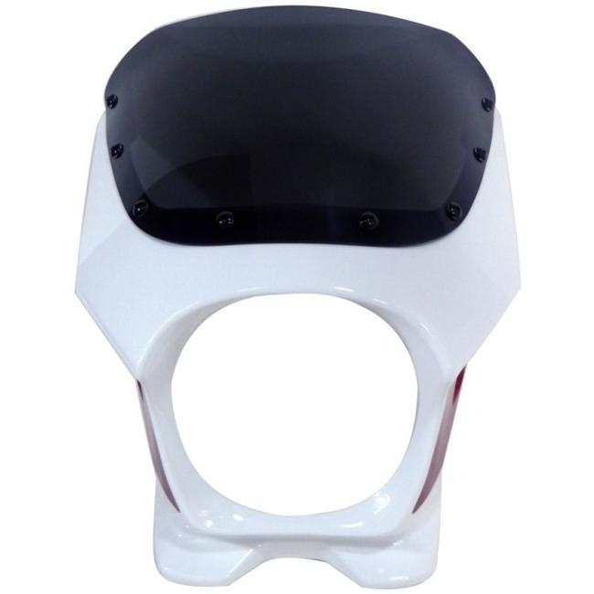 World Walk ワールドウォーク 汎用ビキニカウル【AEROタイプ】 Webike | World Walk ワールドウォーク 汎用ビキニカウル DS-01