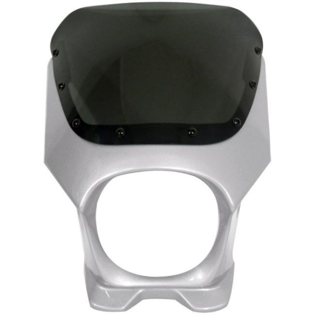 World Walk ワールドウォーク 汎用ビキニカウル DS-01 【Rタイプ】 カラー：ソニックシルバーメタリック / スクリーンカラー：スモーク ビキニカウル 外装_1