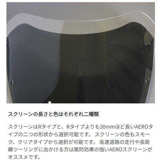 ワールドウォーク World Walk 汎用ビキニカウル DS-01 【Rタイプ