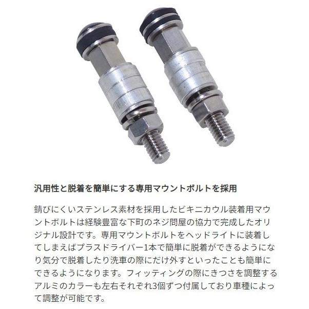 ワールドウォーク（WORLD WARK） World Walk 汎用ビキニカウル DS-01