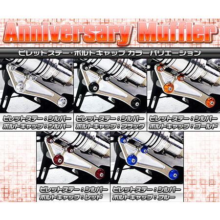 WirusWin ウイルズウィン アニバーサリーマフラー ユーロタイプ ボルトキャップカラー：ブラック / ビレットステーカラー：ブラック シグナスX YAMAHA ヤマハ_2