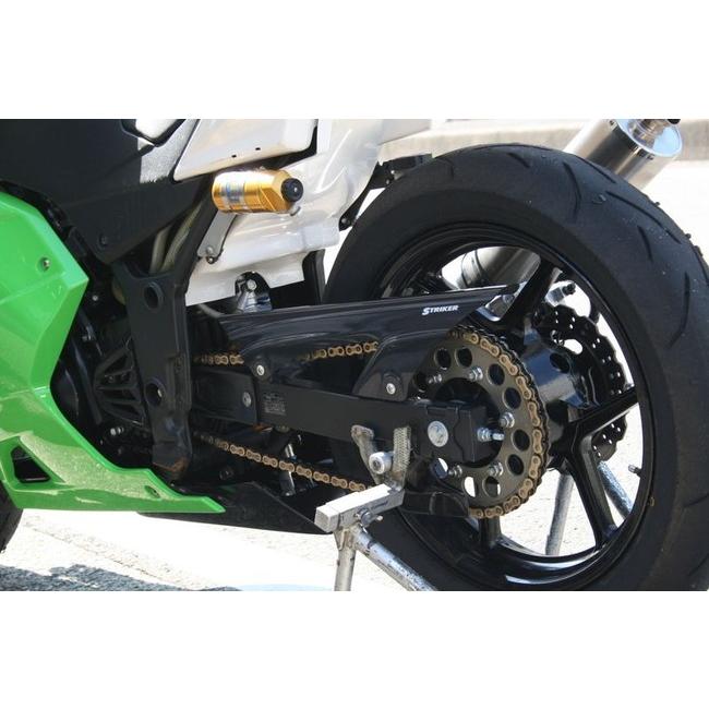 STRIKER（ストライカー） カーボンチェーンカバー ニンジャ250