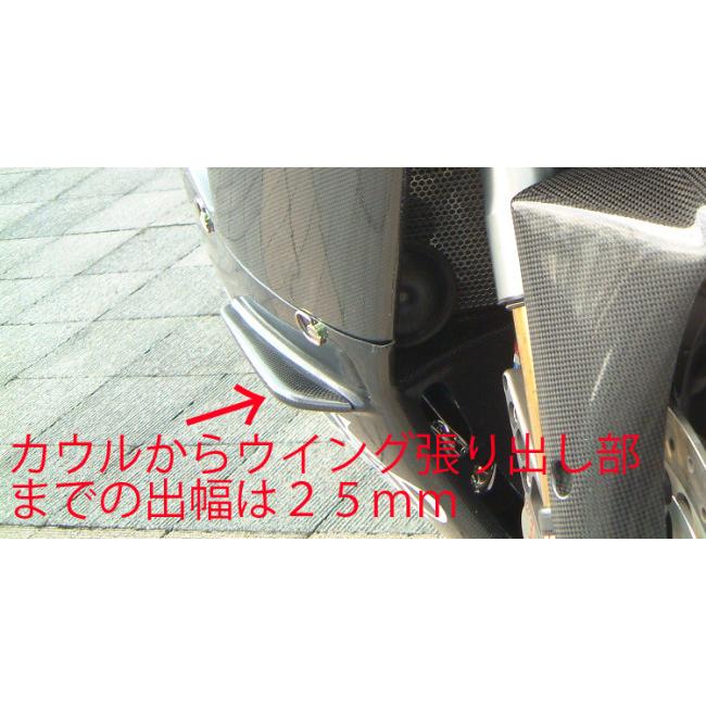 A-TECH（エーテック） ガイドウィングレーシングタイプ ZX-12R