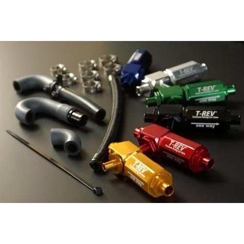 T-REV(寺本自動車商会) ティーレブ T-REVαシステム カラー：シルバー