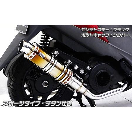 WirusWin ウイルズウィン アニバーサリーマフラー バズーカータイプ ビレットステーカラー：シルバー / ボルトキャップカラー：シルバー アドレスV125S_1
