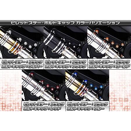 WirusWin ウイルズウィン アニバーサリーマフラー バズーカータイプ ビレットステーカラー：シルバー / ボルトキャップカラー：シルバー アドレスV125S_3