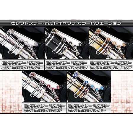 WirusWin ウイルズウィン アニバーサリーマフラー ユーロタイプ ボルト
