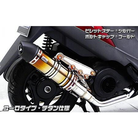 WirusWin ウイルズウィン アニバーサリーマフラー ユーロタイプ