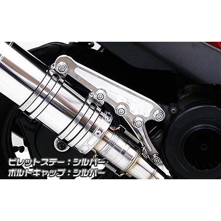 専用です。 WirusWin ウイルズウィン アニバーサリーマフラー専用ビレット