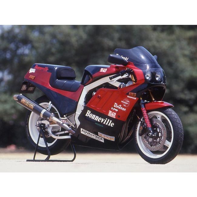ADVANTAGE（アドバンテージ） 強化クラッチスプリング GSX-R1100