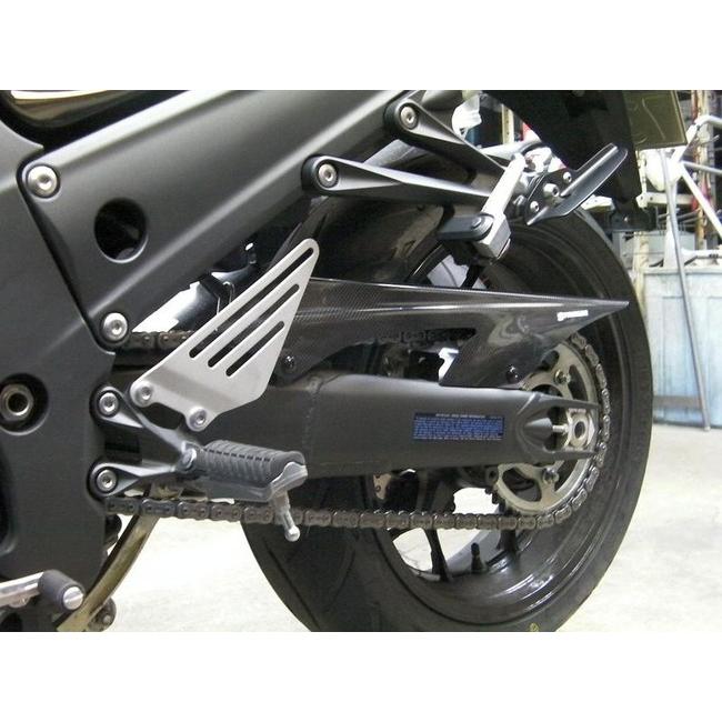 STRIKER ストライカー カーボンチェーンカバー ZZR1400 (ZX-14