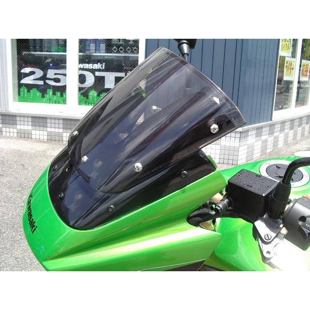 PLEASURE（プレジャー） バイザーリフトプレート ZRX1200DAEG [ダエグ