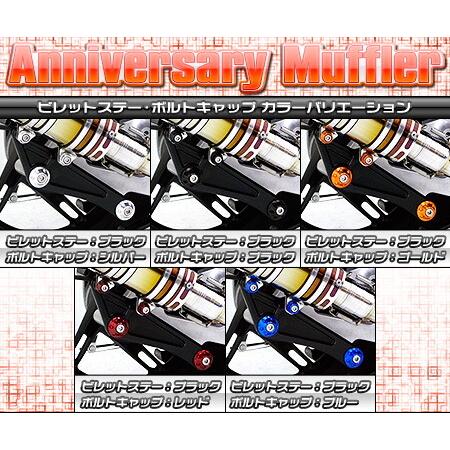 WirusWin ウイルズウィン アニバーサリーマフラー ユーロタイプ ビレットステーカラー：シルバー / ボトルキャップカラー：ブルー PCX150 HONDA ホンダ_3