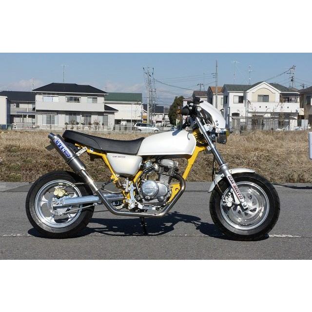 GM-MOTO ジーエムモト エイプ用アルミスイングアームタイプG サイズ：+