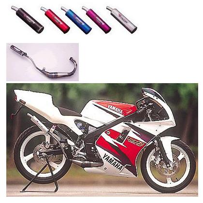 SPI スペシャルパーツイハラ BASIS Sチャンバー (カーボンサイレンサー) TZR50 R YAMAHA ヤマハ チャンバー マフラー | SPI（バイク）