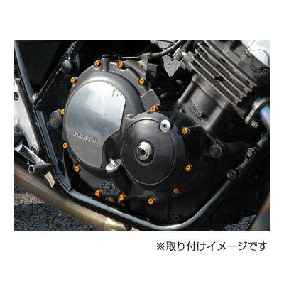 JP MotoMart(DURA-BOLT) JPモトマート(デュラボルト) エンジンカバー・ボルトキット カラー：パープル YZF-R1 FZ1 FAZER フェザー FZ1｜webike｜04